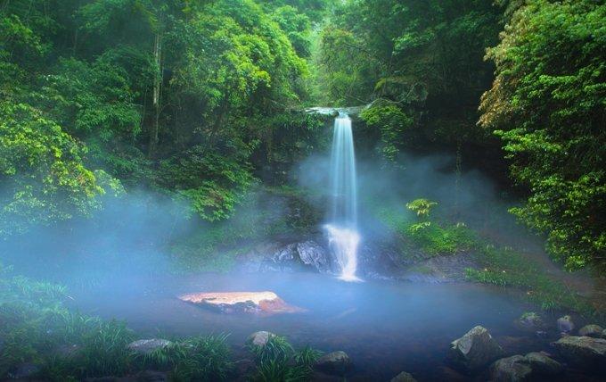 梦幻糖果森林逃生